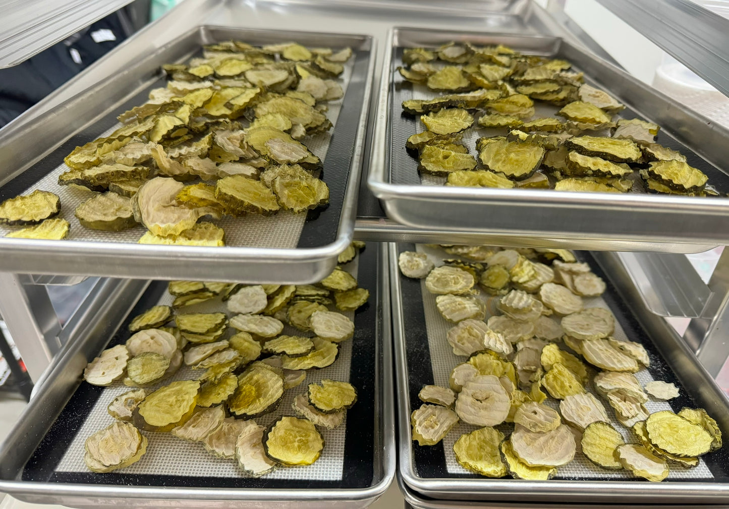 Freeze dried pickles with Ranch Seasoning